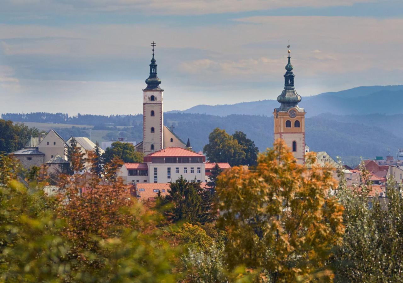 Apartman A&M Banska Bystrica Bagian luar foto